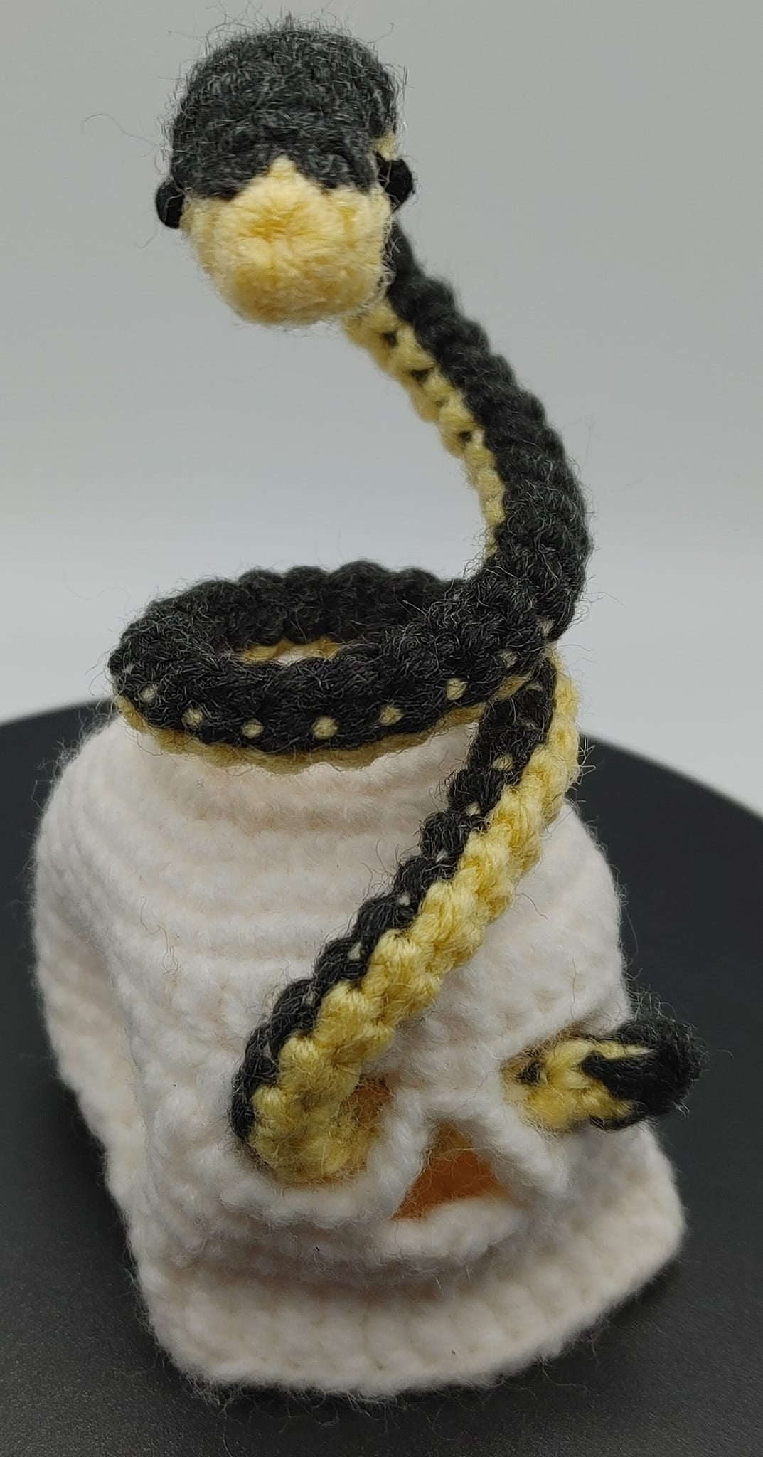 Bone Son Skull & Garter Snake - Crochet Pattern 10/5/22